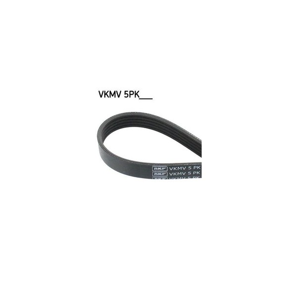 Keilrippenriemen SKF Vkmv 5PK1010 FüR Alfa Romeo Fiat Ford Mazda Peugeot Toyota-image