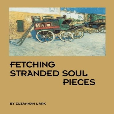 Fetching Stranded Soul Pieces Zuzannah L'Ark Paperback Author Sol