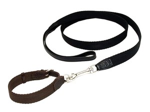 hermes dog leash