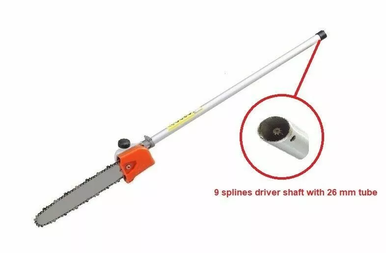 Baumr 2024 pole saw