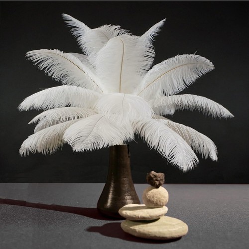 5pcs Ostrich Feathers 12 Colours Craft Cake Wedding Party Decoration - Picture 4 of 24