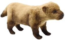 BH8146 HANSA Yabuinu 48