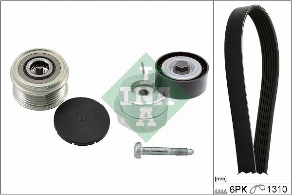 NEU - Schaeffler INA 529050620 Keilrippenriemensatz Passend FüR Fiat Ford-image