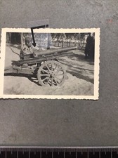 Artiglieria Coloniale,ufficiale,cannoncino Elefantino,regno,fascio,divisa,AS33