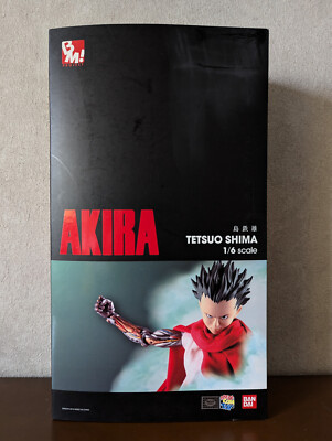 メディコムトイ PROJECT BM 1/6 アキラ AKIRA 島鉄雄