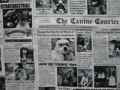 Dog Newspaper Tabloids Black White 