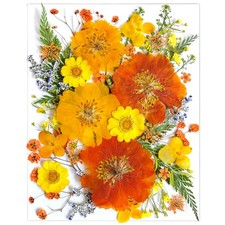 LUCISKY 35Pcs Yellow Pressed Dried Flowers for Resin Molds, Real