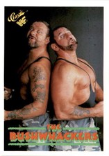 1990 Classic WWF #70 The Bushwhackers