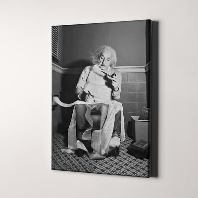 Einstein On Toilet Funny Bathroom 24  x 16  Canvas Wall Art Print