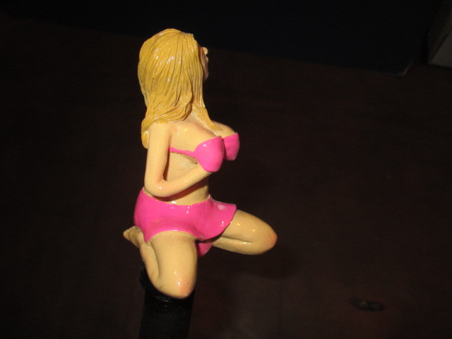 Picture 6 of 10
