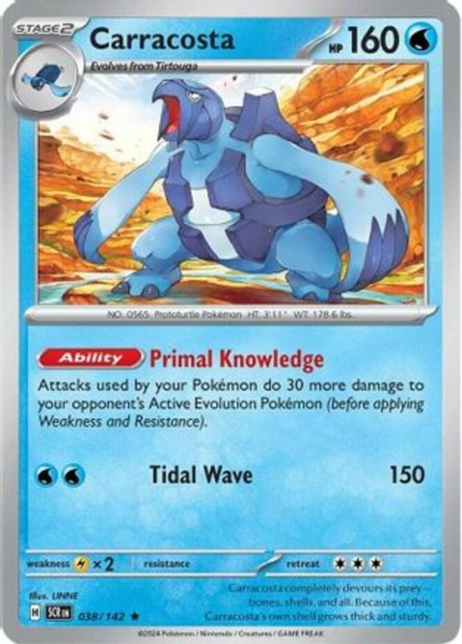 Carracosta - 038/142 - Holo Rare (Near Mint) Stellar Crown - Water Pokémon