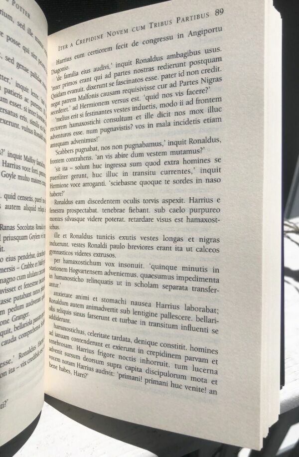Bild 4 von 4