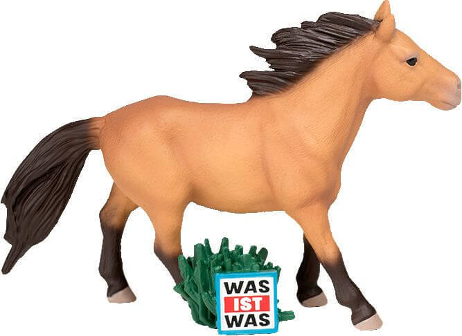 Thumbnail - Tonies® Was Ist Was - Wunderbare Pferde/reitervo
