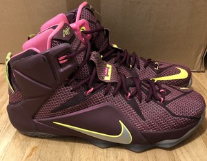 lebron 12 mens shoes