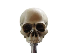 NEW NO JAW SKULL SHIFT KNOB COLLECTIBLE AMERICA RACE SHIFTER 6SPEED GAS OIL DRAG