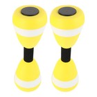 Weight Lifting Set Swimming Pool Exercises Tools Adjustable Dumbells