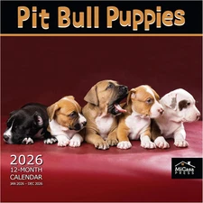 MICASA Pit Bull Puppies 2026 Wall Calendar | 12" x 24" | Adorable Dog Gift
