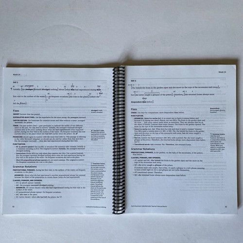 Fix It! Grammar Teacher's Manual Book 4 Little Mermaid IEW - 第 5/5 張圖片