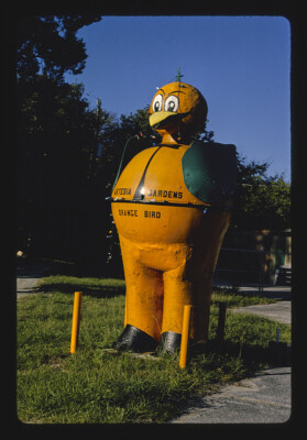 Orange bird sign Artesia Gardens Citrus Stand Route A1A Hammock Florida Photo 1