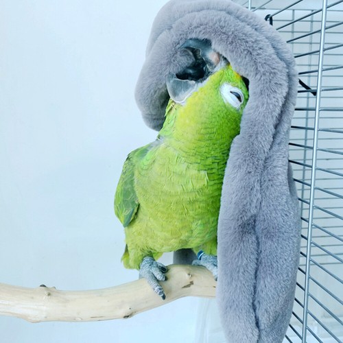 Papagei Warmer Schal Warmes Vogelnesthaus Papageien-Hängemattenbett - Bild 11 von 12