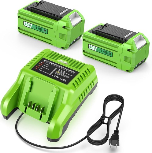2 pack 40V 6.0Ah Battery for GreenWorks plus Fast Charger Combo for G-MAX 29462