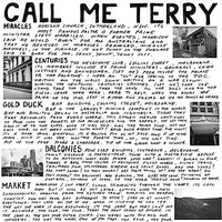 Terry - Call Me - Vinyl Record - G1398Z