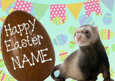 Frettchen Frohe Ostern personalisierte Grußkarte A5 Schokoladenei EE171