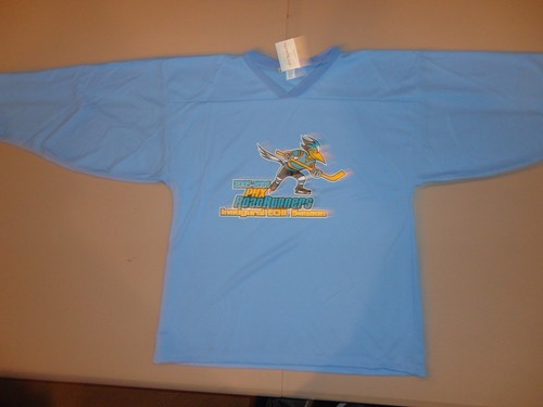 Phoenix Roadrunners Inaugural Season 2005 Screen ECHL Minors Hockey Jersey XL - Picture 2 of 8