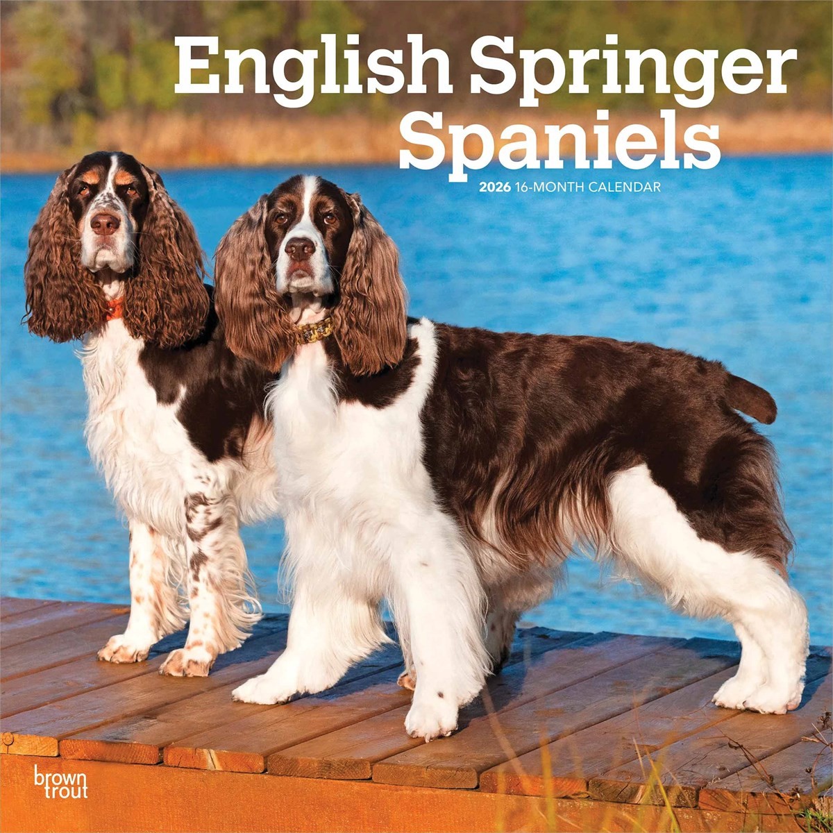 English Springer Spaniels Calendar 2026, Wall Calendars, Month To View, Gift