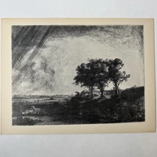 Rembrandt The Three Trees Vintage Collotype Art Print 17th Century Dutch Etching