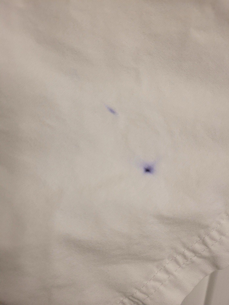 Picture 6 of 6