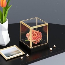 Vitrine mit abnehmbarer Abdeckung, Aufbewahrung für Puppen, Actionfiguren,