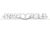 Silberner Unterer Rahmen - KÜHlergrill Gle Class (W167) - Mod. 02/19 -