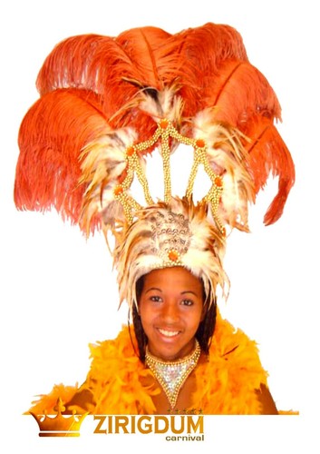 Ostrich feather headdress, Brazilian 