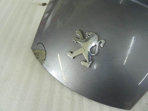 ER. Revestimiento trasero maletero Peugeot Satelis 250 - Imagen 3 de 7