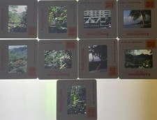 Lots Of 9 Kodachrome Transparencies Slides flora and fauna of Hawaii Feb 1982