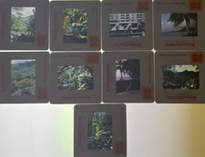 Lots Of 9 Kodachrome Transparencies Slides flora and fauna of Hawaii Feb 1982