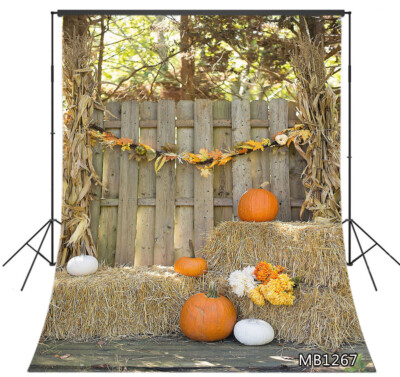 DaShan 14x10ft Fall Forest Path Backdrop Autumn Foliage Party Autumn Park Scene Fallen Leaves Photography Background Wedding Birthday Party Decor Outdoor Travel Video Kid Adult Portrait Photo Props DaShan 14x10ft Fall Forest Path Backdrop Autumn Foliage Party Autumn Park Scene Fallen Leaves Photography Background Wedding Birthday Party Decor Outdoor Travel Video Kid Adult Portrait Photo Props