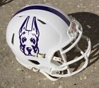 Albany Great Danes Football Mini Helmet + Other Styles