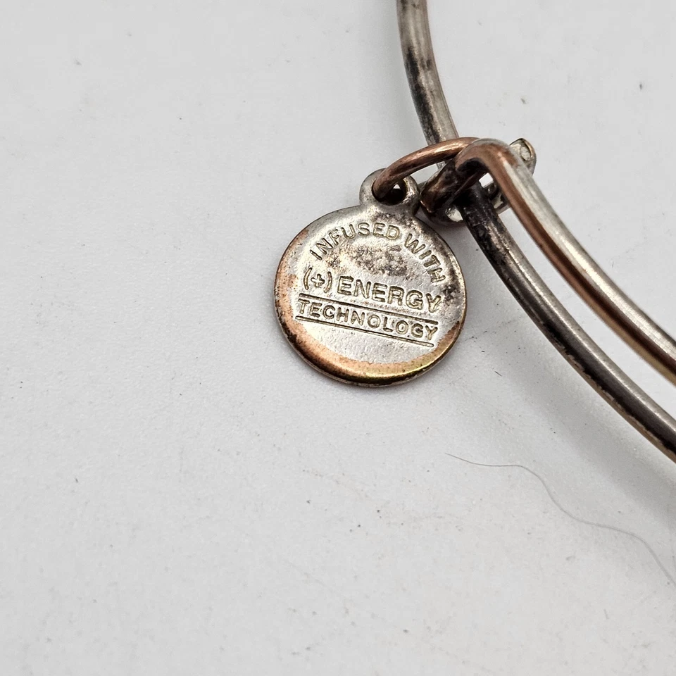 Juego de 2 Brazaletes Brazalete Alex & Ani Tono Plata Dije Piedra Púrpura y Limón Foto 2 de 4