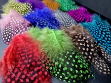 GUINEA FOWL FEATHERS - Fly Tying Materials - 12 COLORS - Fly Tying Feathers NEW