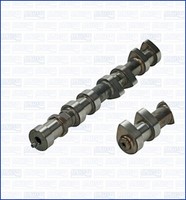 Ajusa Nockenwelle 93031100 FüR Vectra Opel CC Omega Caravan J96 V94 Calibra C89