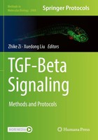Tgf-Beta Signaling | Methods And Protocols | Zhike Zi (U. A.) | Taschenbuch | X