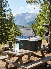 19Qt 12 Volt Refrigerator, -4 68 Electric Cooler for Car