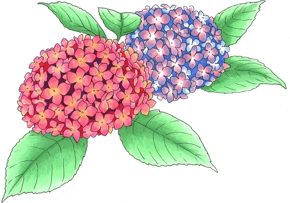 Copic Sketch Marker Set Portrait 6 Pack AU FAST SHIPPING - image 3 of 4