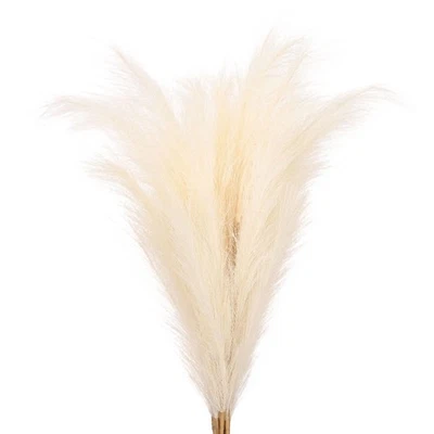 37.8in Décoration Herbe Pampa 7 Pcs Artificielle Beige - Photo 1/4