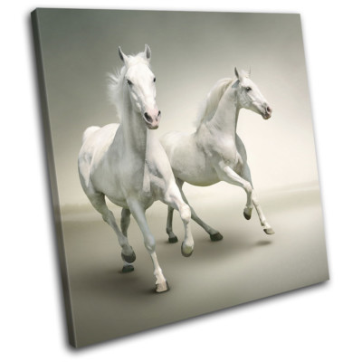 White Horses Herd Galloping Modern Animals SINGLE Leinwand Kunst Bild drucken