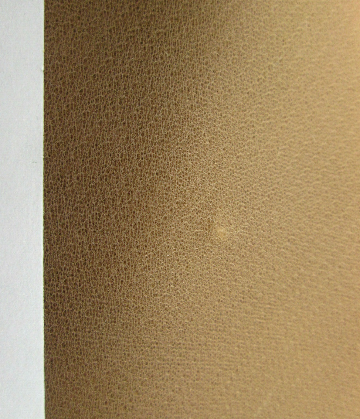 Picture 6 of 7