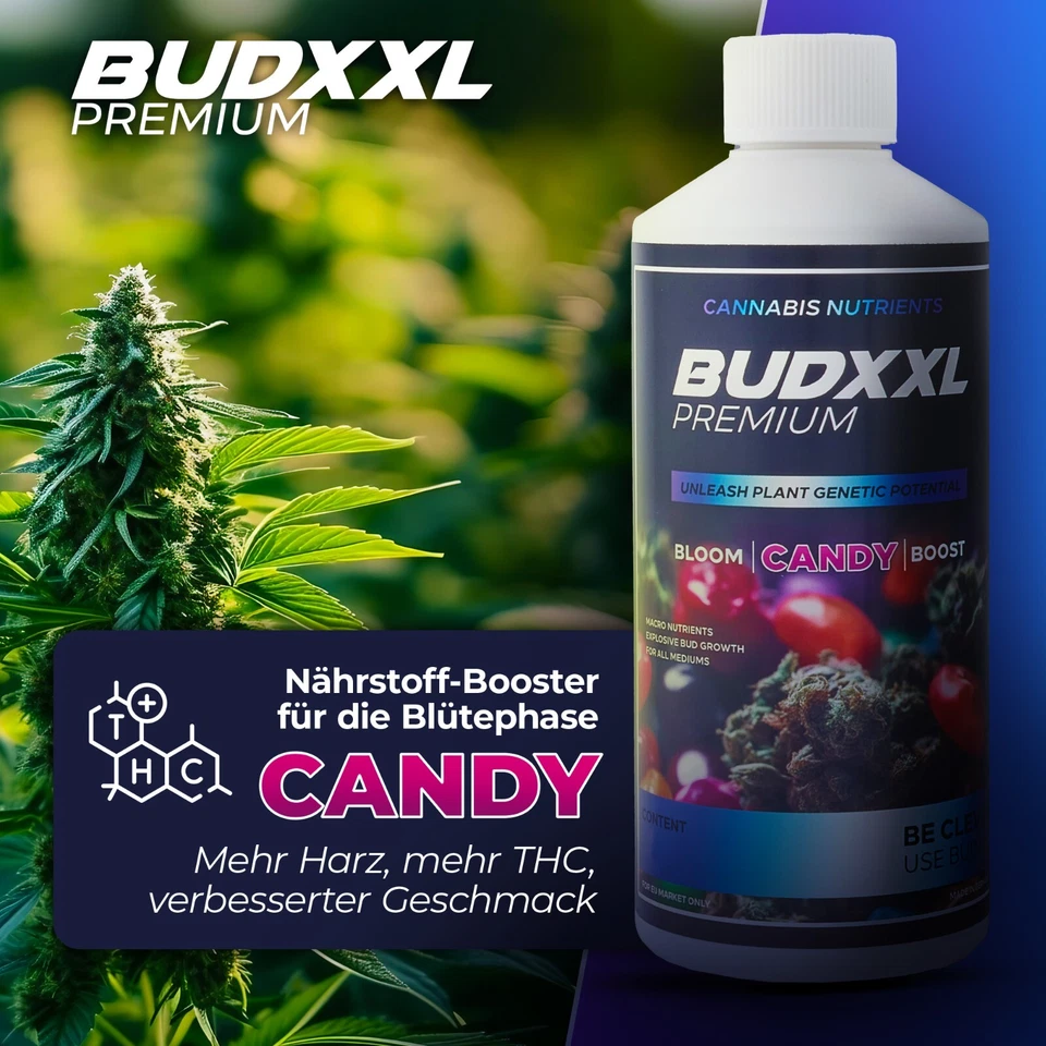 BUDXXL Candy Blüh-Stimulator - Blüte Booster - 250ml bis 10 L - Grow-Dünger - Bild 3 von 4