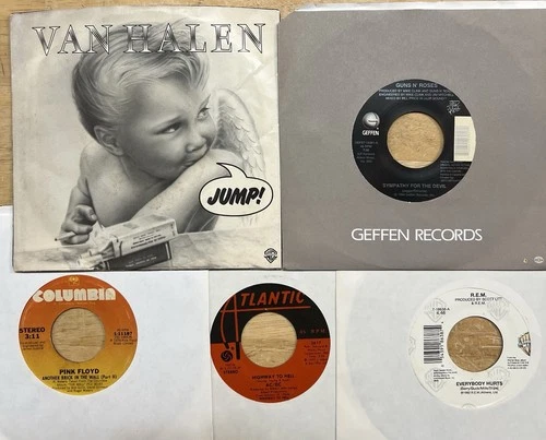 65 Records Guns N Roses REM AC/DC Pink Floyd Van Halen Devo Kiss Skynyrd Dolly